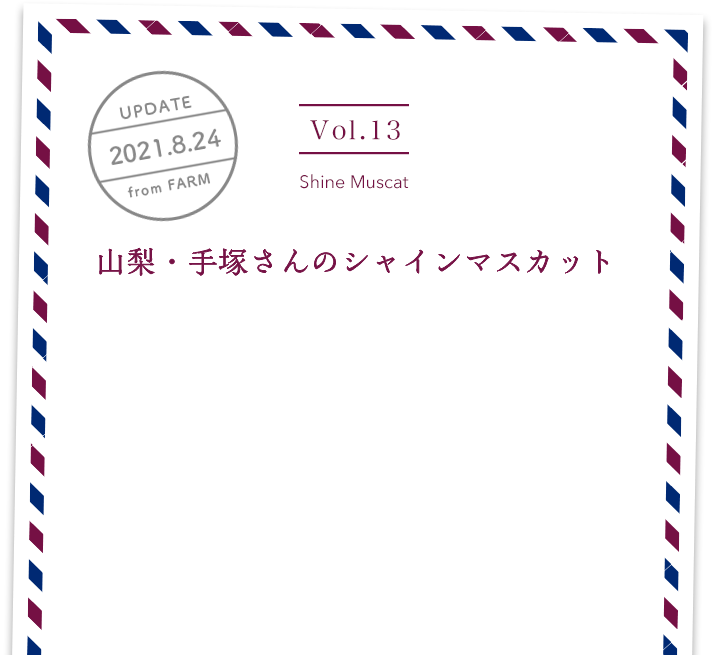 vol13. Tamanegi／UPDATE 2021.8.24／山梨・手塚さんのシャインマスカット