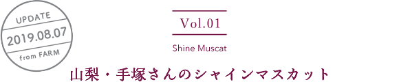 vol1. Shine Muscat／UPDATE 2019.08.07／山梨・手塚さんのシャインマスカット