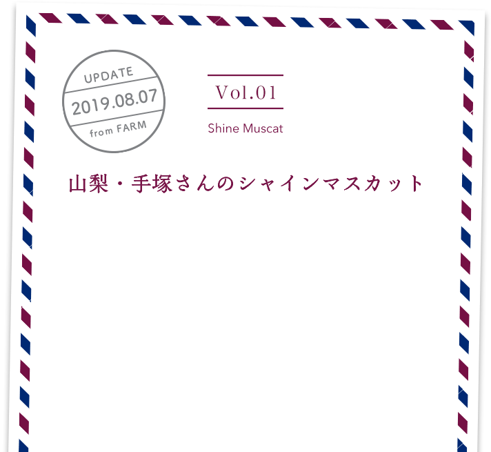 vol1. Shine Muscat／UPDATE 2019.08.07／山梨・手塚さんのシャインマスカット