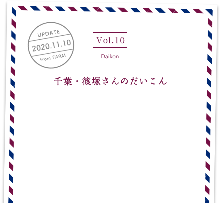 vol10. Daikon／UPDATE 2020.11.10／千葉・篠塚さんのだいこん