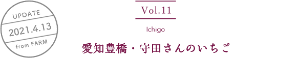 vol11. Ichigo／UPDATE 2021.4.13／愛知豊橋・守田さんのいちご