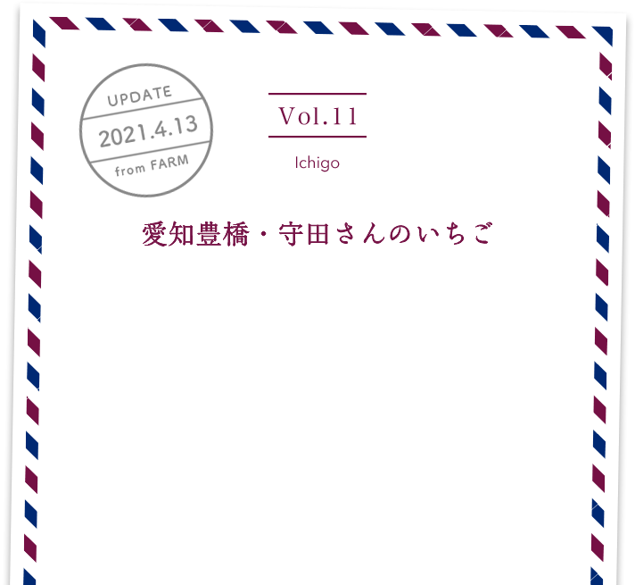 vol11. Ichigo／UPDATE 2021.4.13／愛知豊橋・守田さんのいちご