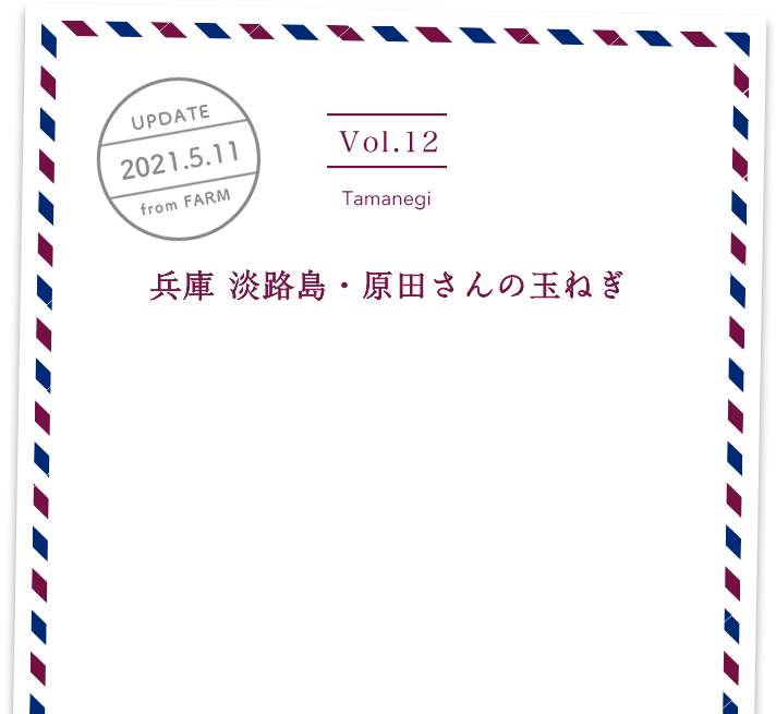 vol12. Tamanegi／UPDATE 2021.5.11／兵庫 淡路島・原田さんの玉ねぎ