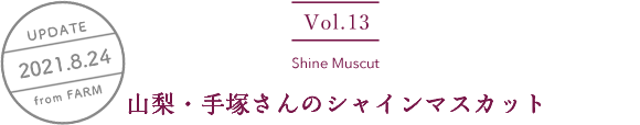 vol13. Tamanegi／UPDATE 2021.8.24／山梨・手塚さんのシャインマスカット