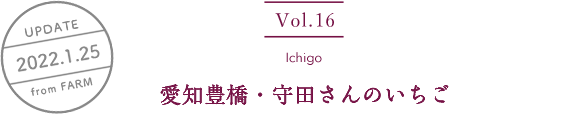 vol16. ichigo／UPDATE 2021.1.25／愛知豊橋・守田さんのいちご