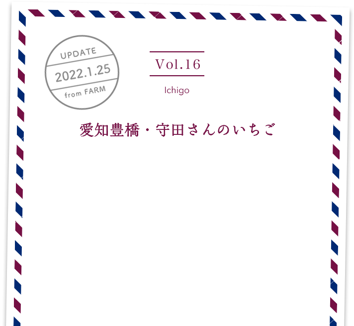 vol16. ichigo／UPDATE 2021.1.25／愛知豊橋・守田さんのいちご