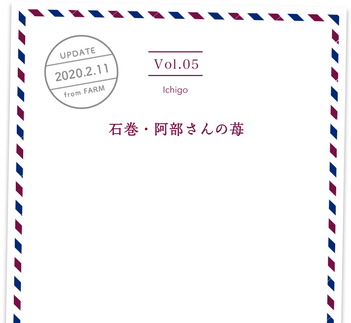 vol5. Ichigo／UPDATE 2020.02.11／石巻・阿部さんの苺