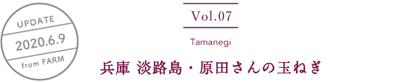 vol7. Tamanegi／UPDATE 2020.06.09／兵庫 淡路島・原田さんの玉ねぎ