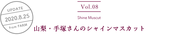 vol8. Shine Muscat／UPDATE 2020.08.25／山梨・手塚さんのシャインマスカット