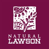 旗艦店（六本木ヒルズ店）​